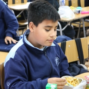 Día de la Actividad Física